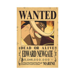 Póster: WANTED "One Piece" - nihonski